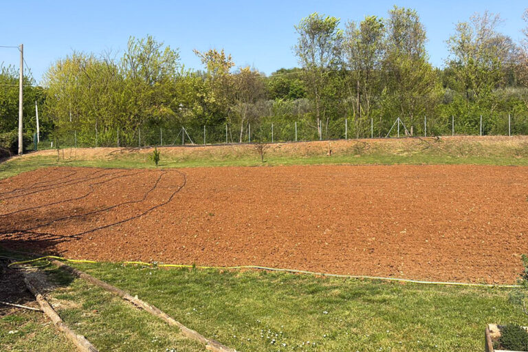 Piante per l’Orto della Comunità “La Collina”