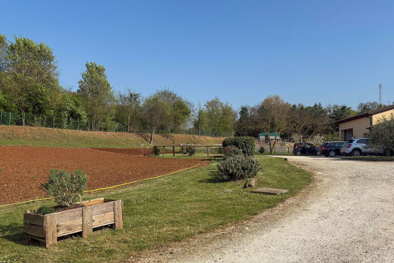 Piante per l’Orto della Comunità “La Collina”